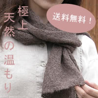 ベビーアルパカストール