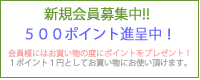 ��������罸